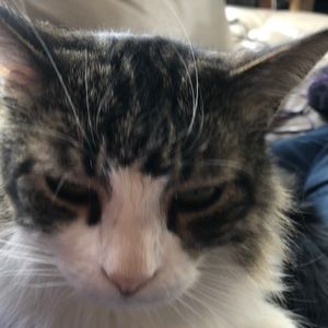 Meet your Posher, Annette